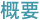概要