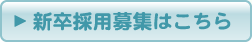 新卒採用